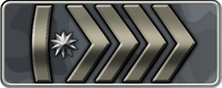 Silver Elite Master